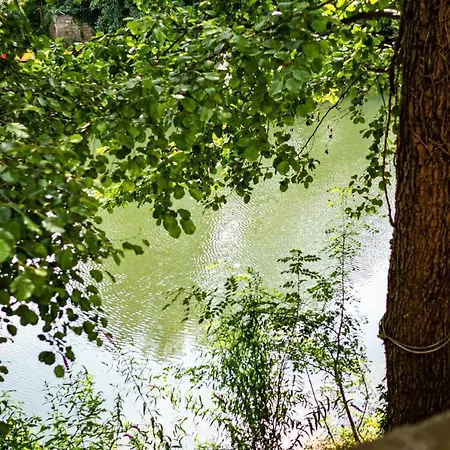 Le Bord'eau - Charmant Appart T2 Au Bord Du Clain * Poitiers